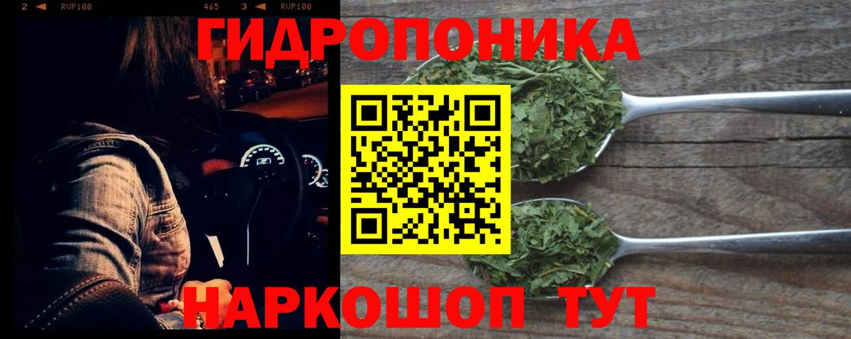 Бошки Шишки VHQ Киселёвск